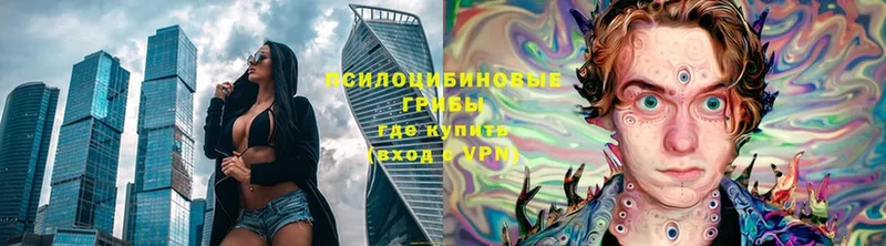 Псилоцибиновые грибы Cubensis  блэк спрут ТОР  Тулун 